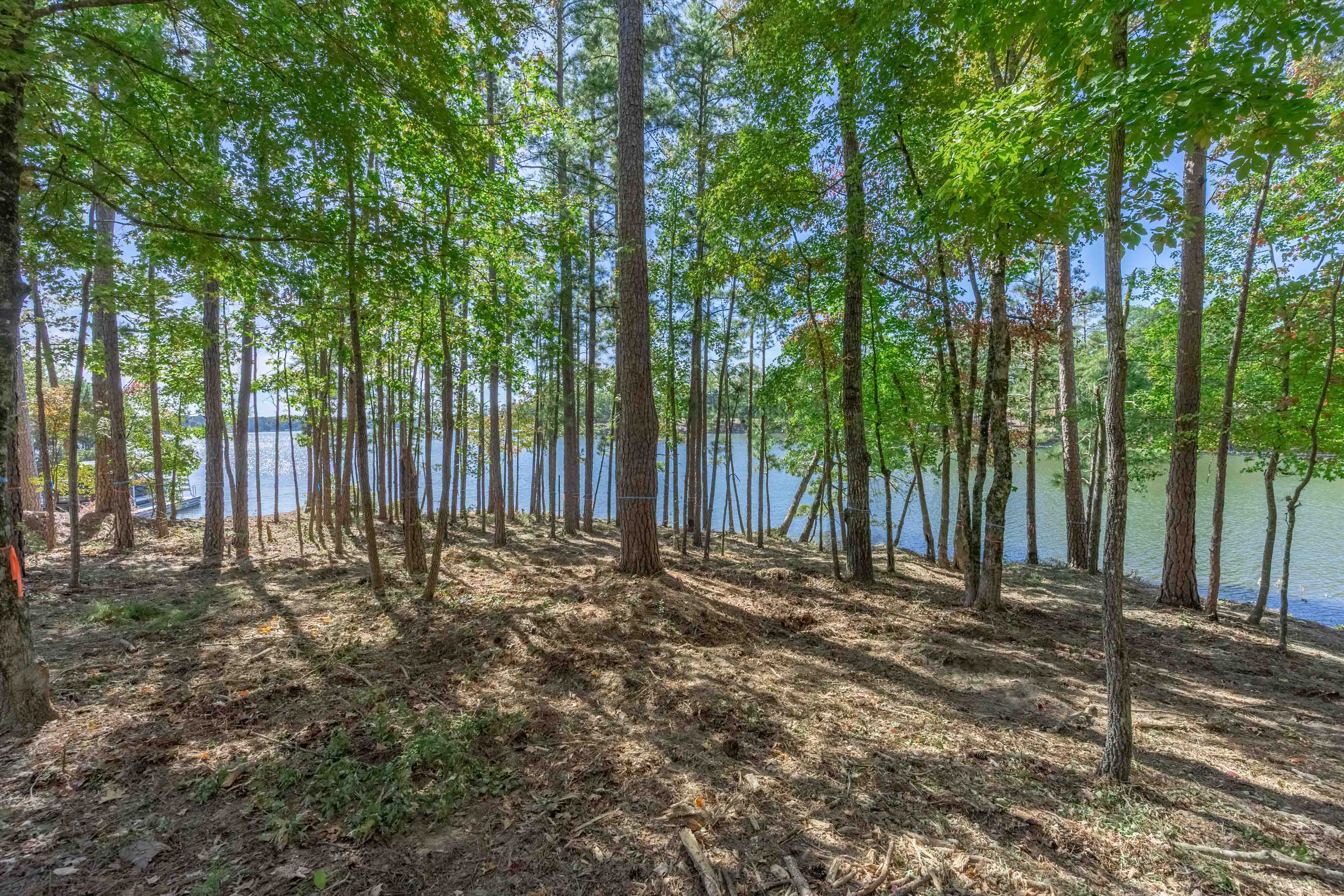 1545 Night Heron Drive image 7